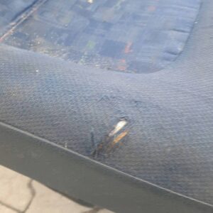 7463cdbbe331a4ee09aff92bc1855bbc