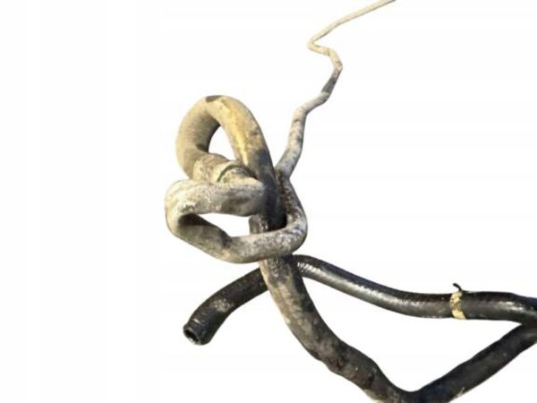 19abf6e7cbb05b5a4c21d3f0596c620f