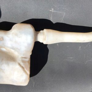 ZBIORNICZEK SPRYSKIWACZY MASTER MOVANO 2891000023R