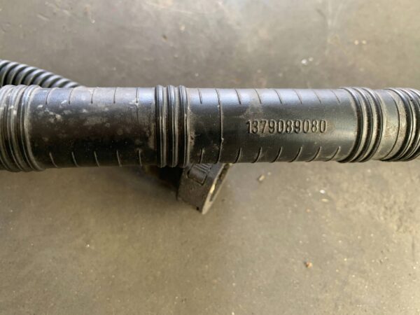 21c7f647870204bfbd3d3e4696642856