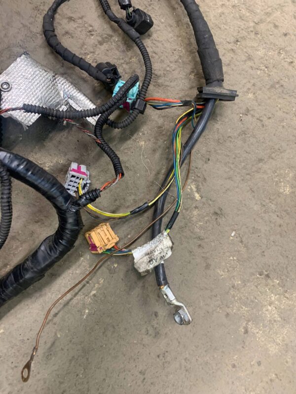 000ff514dfa2e3d879f68c3952703b53