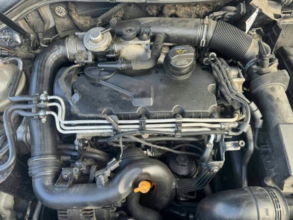 8c00446de23cb70564df827b484e6558