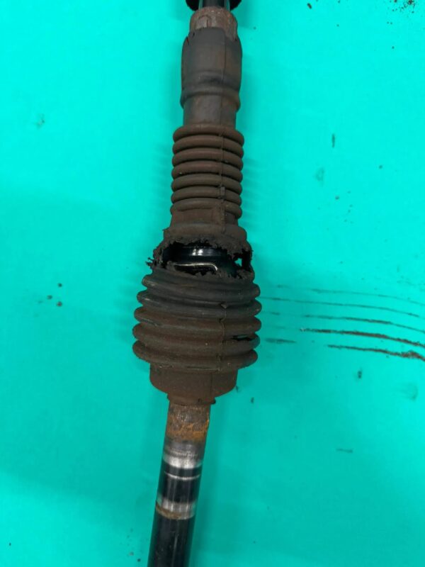 b9cd96ef3cdd2a30fc586e7fce9debda