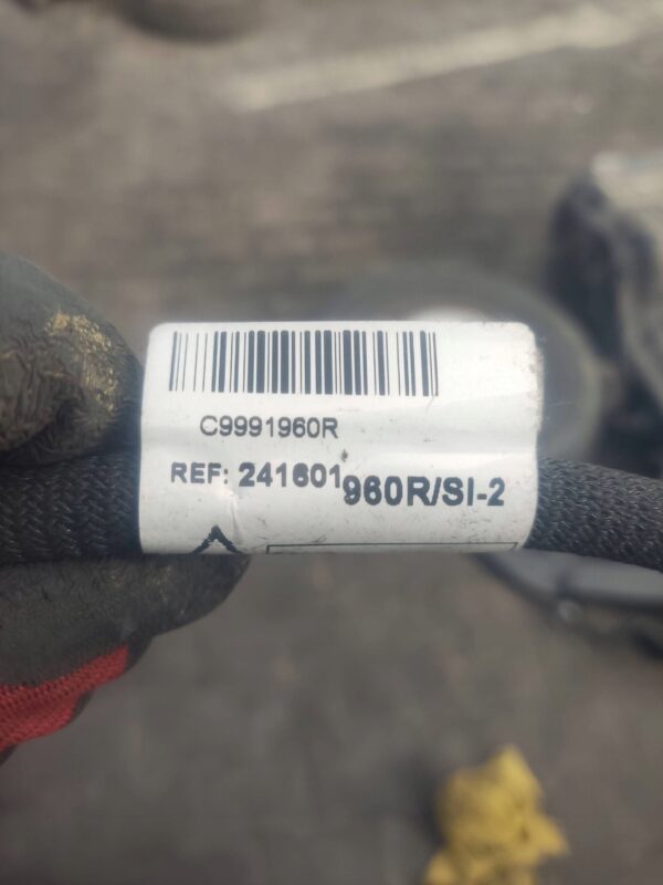 d4a488c55b904c666c4ab386fc069c91