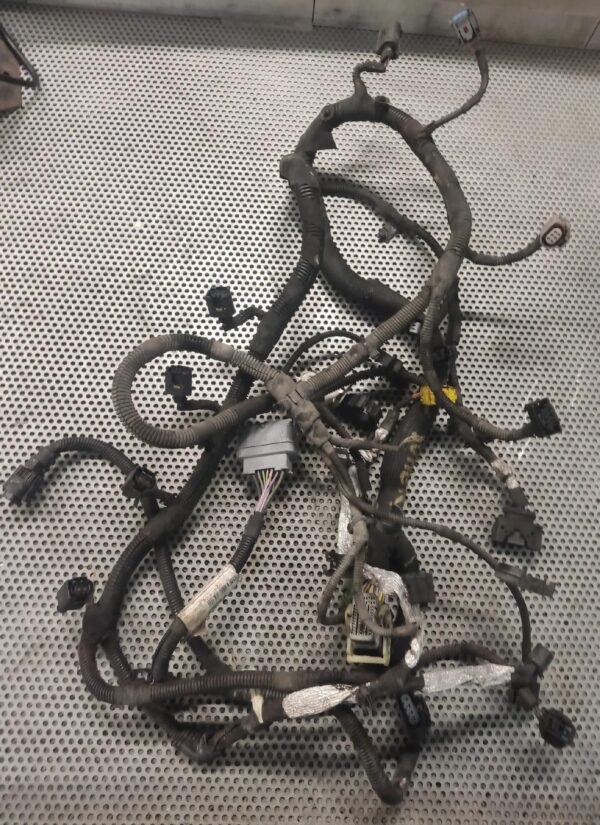 55e72c148e678c93219f27a944d0e637