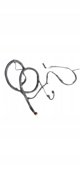 WIĄZKA DRZWI MASTER III MOVANO 241104042R