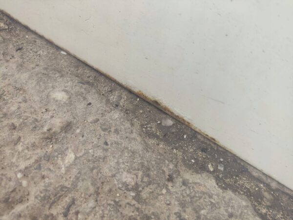 0561be9df60d357eaf43f253516cc898