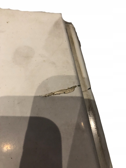 LISTWA NAD LAMPĘ PRAWY PRZÓD DUCATO NR1 1306530070