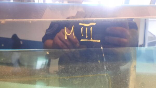 8477e692fd72aaa7f219073f53f0ce70