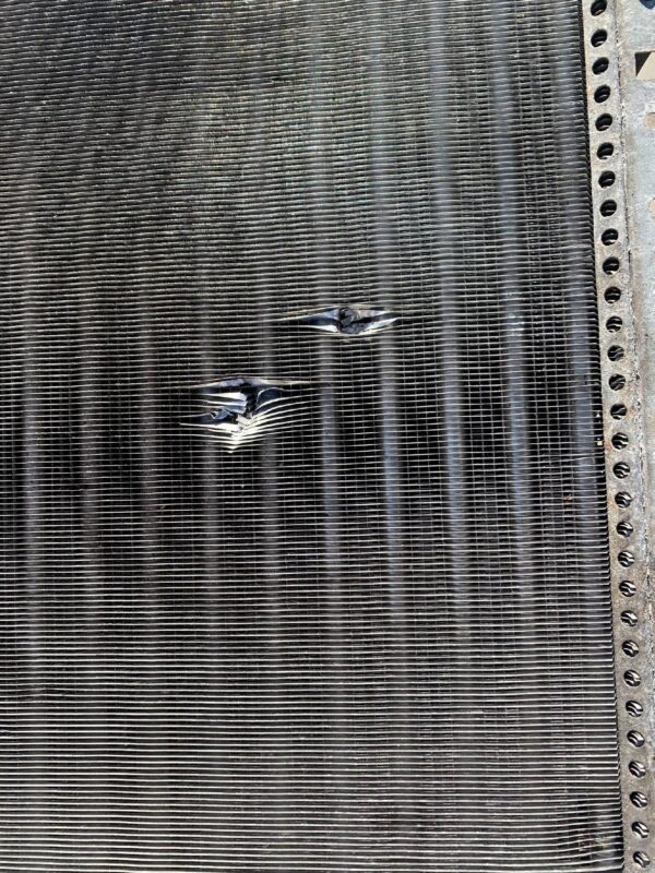 384a006db46a263280af39169fa5989d