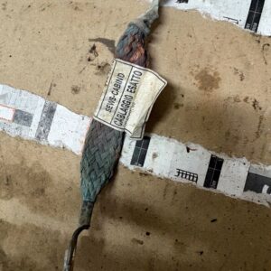 cd978395159d278dd3f8fc1d46c3f574