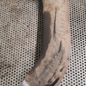 e4db85fc3fbecf28c04c72d8b9018808