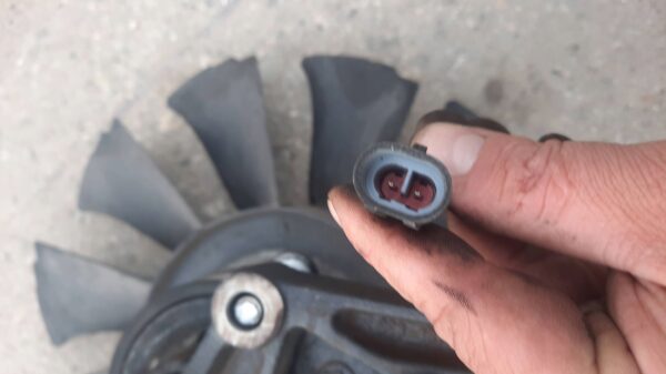 907395d636059e33a4cae98004046725