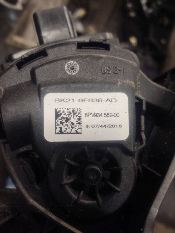 a81592c87864f14af77655bec195061f