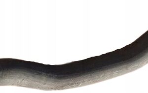 b72b636a4641dbe81405c092832f9d67