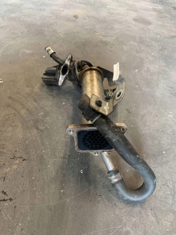 1be2aeed918d6afacddb1057190a1a78