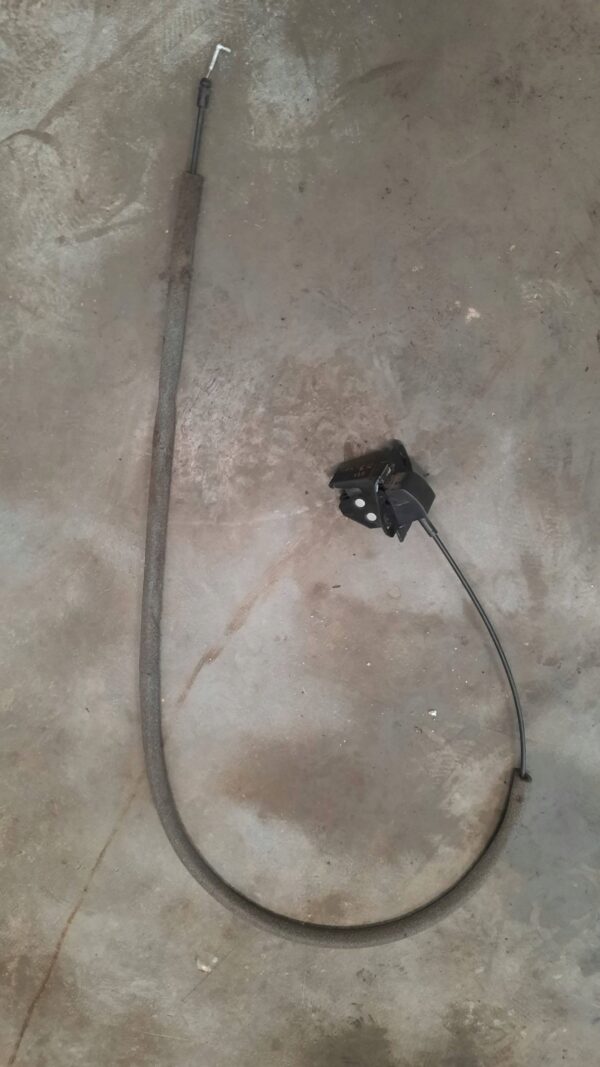 909fa6523cae54f31bbd33a129954fbd