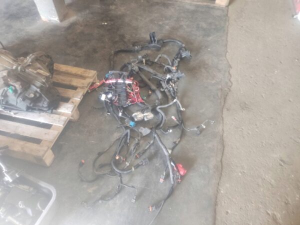 c6b5a47662f6ffa9890576228d165a69