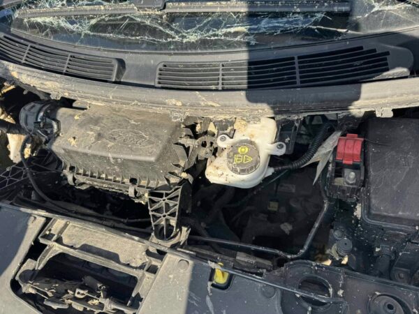 8b7e520fc619e6791107e9feb03eaf88