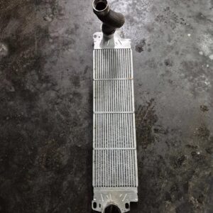 ebe976121d8a19960eead04cee9f590c