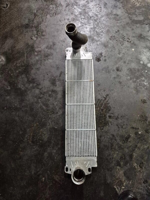 ebe976121d8a19960eead04cee9f590c