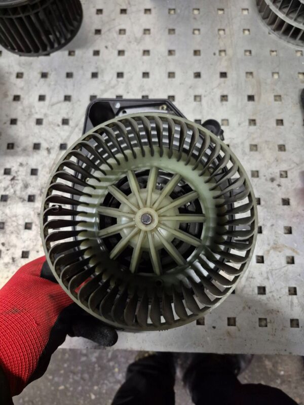 48476e939eaa4546275038b0be923557