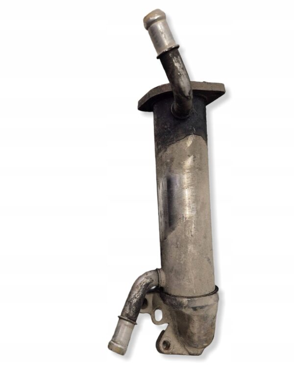 ae01f6957d796236c37f8b742f945e33