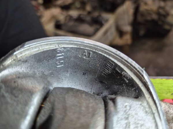 cb41ff2116f56943cf2e2e799a9c9460