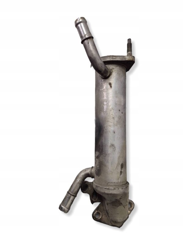 85fc40a5a16a68662956941a3fd38696