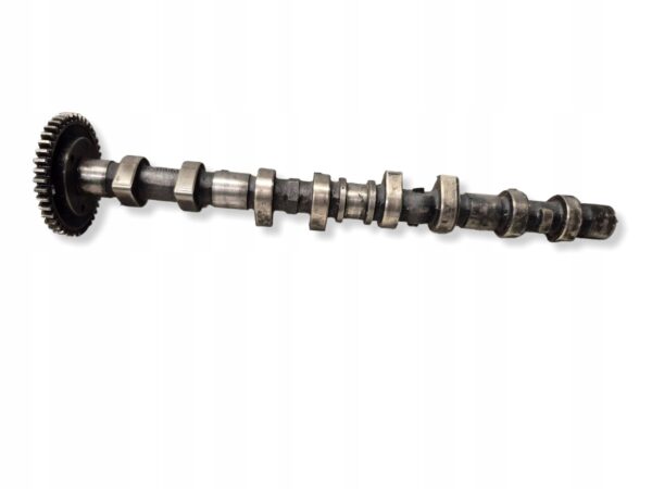 69c92291025cb2a8963370132c96e313