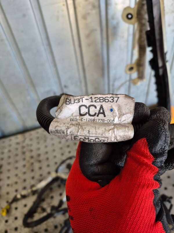 5613b2347dde853330434538043ac397