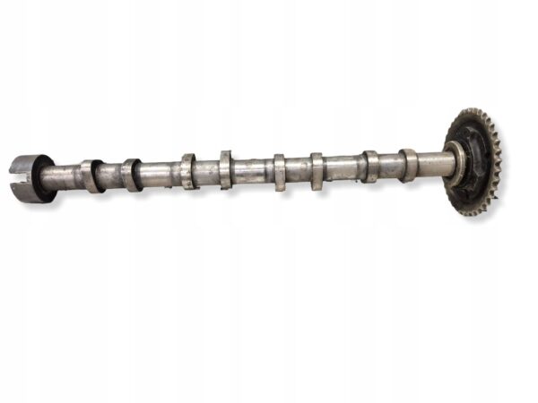 6c393f26cb9620c6eaaf7e89e8bd657d