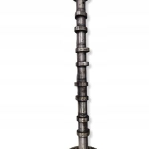 d37cc2bae9f008e9a449e89aeaeff2ae