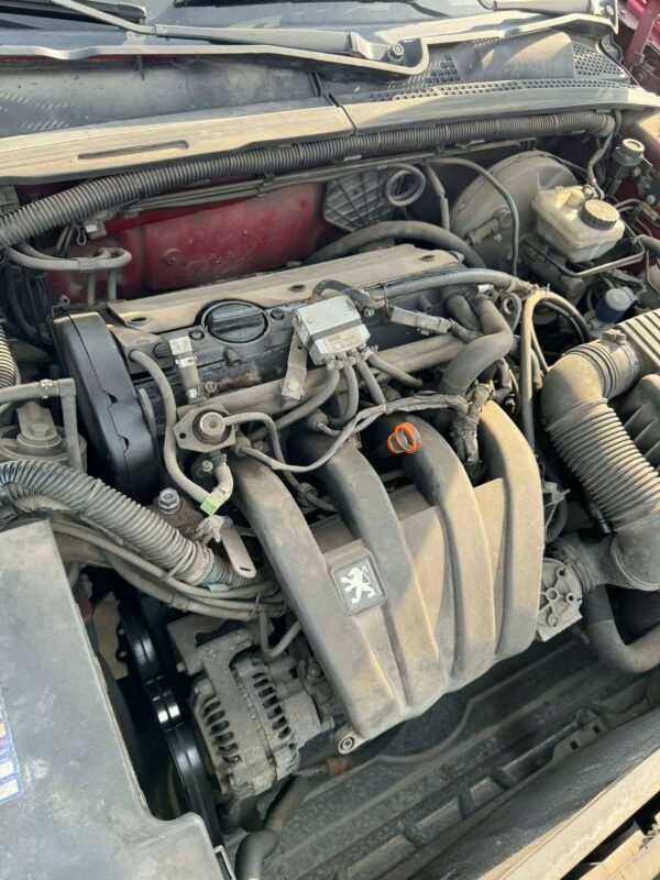 30bb9ec040e91616f6211083e2e65322